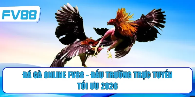 đá gà online fv88