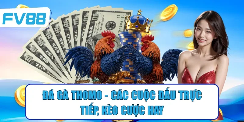 đá gà thomo