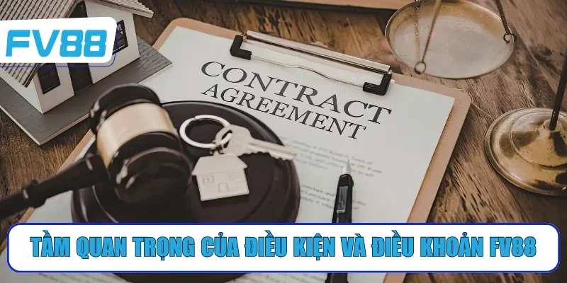 Tầm quan trọng của điều kiện và điều khoản FV88