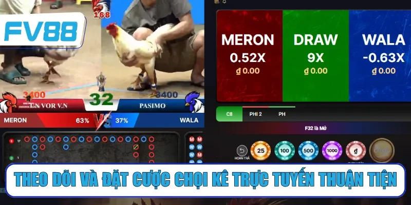 Theo dõi và đặt cược chọi kê trực tuyến thuận tiện
